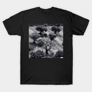 Olive Trees T-Shirt